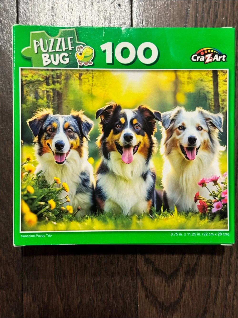 Cra-Z-Art Puzzle Bug 100-Piece Jigsaw Puzzle
